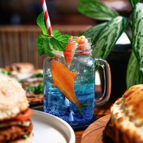 Brunch Club_2019-09-27 Brunch Club on Instagram “DEEP BLUE TONIC Refreshing, with a bite ? • #shark week #cocktail #mixolog[...]