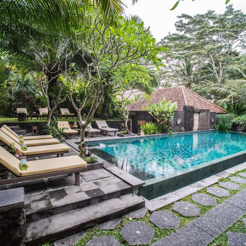 koriubud2